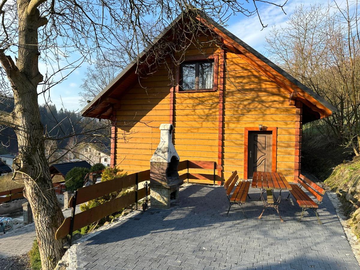 Willa Larysa Agro Wisla Exterior photo