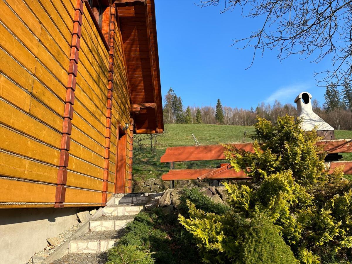 Willa Larysa Agro Wisla Exterior photo